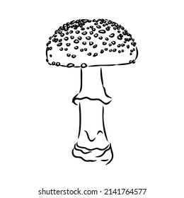 Handdrawn fly-agaric doodle icon. Hand drawn black sketch. Sign cartoon symbol. Decoration element. White background. Isolated. Flat design. Vector illustration.