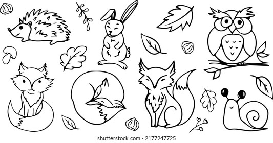 Hand-drawn forest animals. Autumn. Autumn theme. Animals drawn with a line on a white background. Forest. Wildlife. Ink. October. Autumn season. Fox. Hedgehog. Hare. Owl.