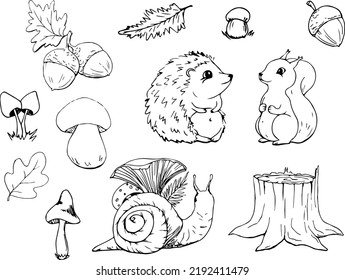 Hand-drawn forest animals. Squirrel. Hedgehog. Forest. Autumn. Autumn doodle. Forest animals in vector. Elements for decor. Line art. Hedgehog silhouette. Lovely animals. Stump. Mushroom. Acorn.Leaves