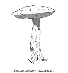 hand-drawn forest mushroom with expressive hat