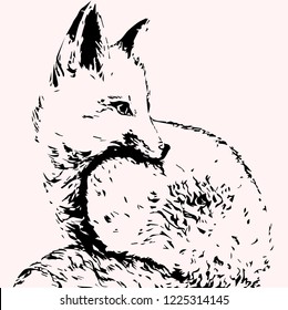 Handdrawn fox sketch vector illustration