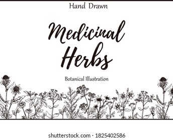 Marco o tarjeta dibujado a mano con lugar para texto con hierbas medicinales, especias y flores, ilustración de boceto vectorial vintage.
