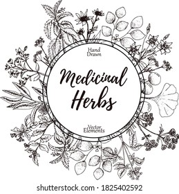 Hand-drawn frame or card with place for text with medicinal herbs, spice and flowers, vector vintage sketch illustration.