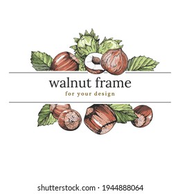 Hand-drawn frame with nuts and leaves. Sketch composition for packaging design, advertising, decoration, text and lettering. Hazelnut fruits vintage style. Engraving illustration in ink pen. Colour