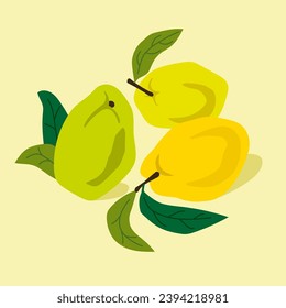 Hand-drawn, free-form quince illustration design.