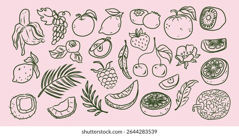 Vetor de linha de frutas desenhado à mão com banana, cereja, morango, framboesa, citrinos, quivi, maçã, limão, ameixa, uva, coco, melão, folhas tropicais, flores e fatias sobre fundo rosa.