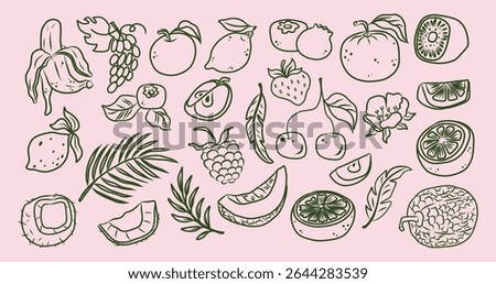 Hand-drawn fruit line vector set with banana, cherry, strawberry, raspberry, citrus, kiwi, apple, lemon, plum, grape, coconut, melon, tropical leaves, flowers and slices on pink background.