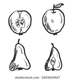 Hand-drawn fruit set with apples and pears, whole and halved in black brush stroke texture on white. Hand drawn vector sketch illustration in vintage charcoal ink. Food-related designs, healthy eating