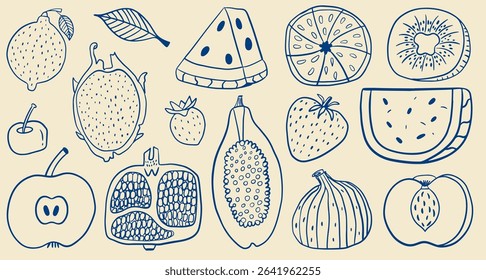 Hand-drawn fruit set. Doodle collection of various fruits. Outline icons collection. Design vector elements. 