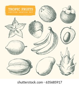 Hand-drawn fruit sketches. Cool vector illustrations set. Eps10 format.