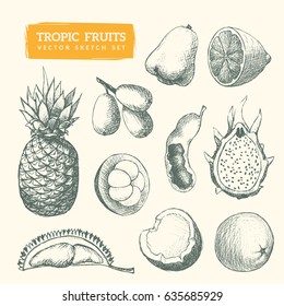 Hand-drawn fruit sketches. Cool vector illustrations set. Eps10 format.