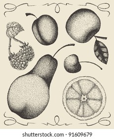 Hand-drawn fruits set