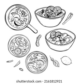 Hand-drawn  galangal chicken coconut soup. Tom Kha Gai , thai cuisine. Vector sketch  illustration.