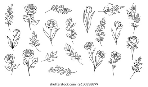 Hand-drawn garden flowers and wild plants set. Botanical outline drawings.
