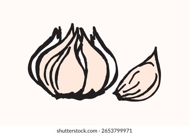 Bolbo de alho desenhado à mão e Ilustração de Clove