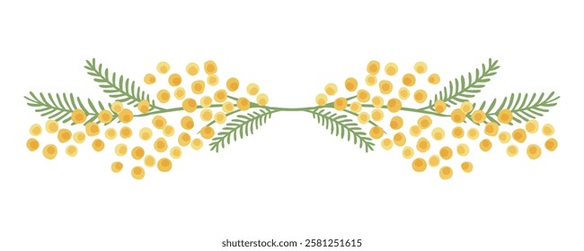 Hand-drawn gentle touch mimosa lines