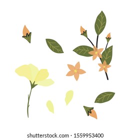 hand-drawn geranium wild flowers vector set collection . Creative floral texture for fabric, wrapping, textile, wallpaper, apparel.