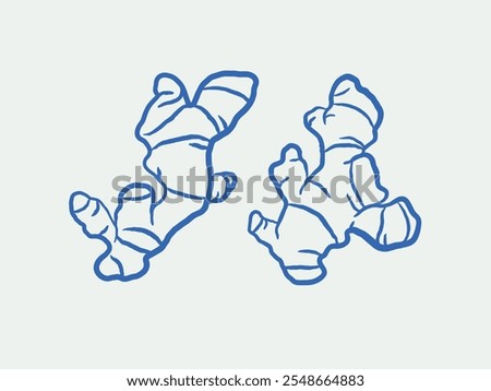 Hand-drawn ginger Illustration Set. Line art, ink, minimalist style. Vector illustration.