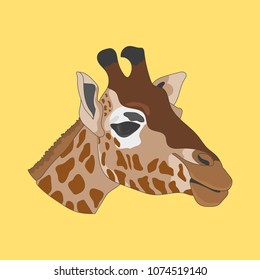 Hand-drawn giraffe face isolated