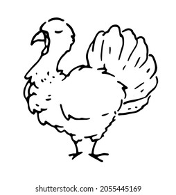 a hand-drawn gobbler. cartoon-style painted bird, isolated black turkey outline on white for Thanksgiving holiday design template. Hand drawn black banner on white background. Happy thanksgiving.