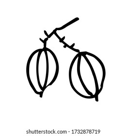 Hand-drawn gooseberries. A simple sketch . Black and white Doodle vector illustration