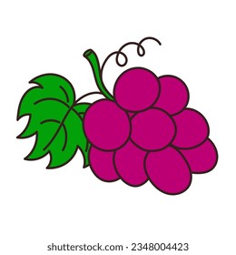 Hand-drawn grape on a transparent background. Isolated vector illustration of juicy fruit