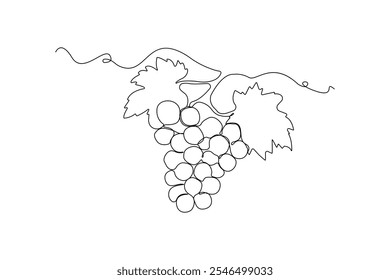 Hand-drawn Grapes line art drawing. Grapes fruit linear icon vector.