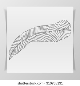 Hand-drawn graphic Feather for Tattoo Design or Print