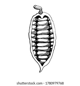 A hand-drawn graphic image of a cocoa fruit with cocoa beans. Black and white vector image isolated on white background.