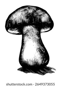 Hand-drawn graphic sketch of a mushroom illustration. Vector for packaging design, cookbooks, nature blogs, restaurant menus, educational materials, interior decor, textile design, logos and patterns