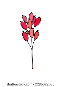 Hand-drawn graphic vector twig with red berries barberry, cranberry, cranberry