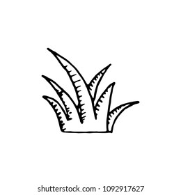 Handdrawn grass doodle icon. Hand drawn black sketch. Sign symbol. Decoration element. White background. Isolated. Flat design. Vector illustration.
