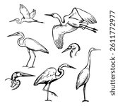 Hand-drawn Great egret (Ardea alba,  common egret).  Vector sketch  illustration.