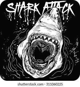 Hand-drawn great white .shark attack.