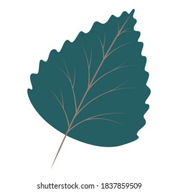 Hand-drawn green autumn leaf, vector illustration on isolated white background in modern style. Concept for seasonal banner, poster, card.