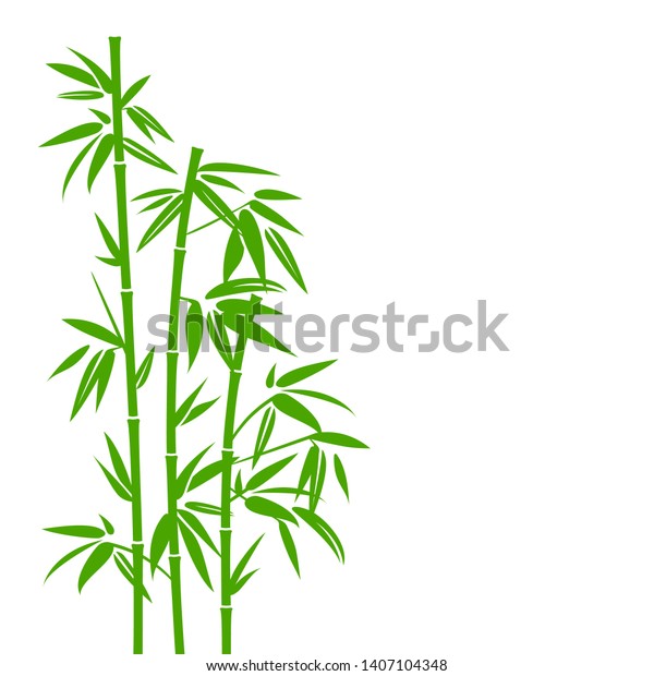 Handdrawn Green Bamboo\
Plant Background
