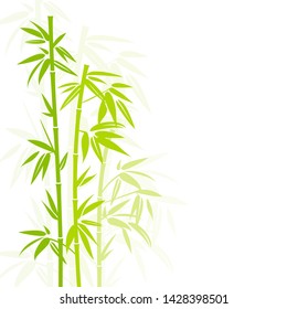 Handdrawn Green Bamboo Plant Vertical In Square Background Shadow