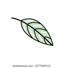 Hand-drawn green leaf doodle and flat illustration for eco-friendly themes

