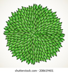 Hand-drawn green leaves in circle.