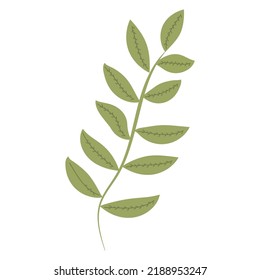 Hand-drawn green leaves and an isolated silhouette of a branch on a white background. Vector illustration. Botanical prints.