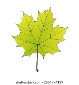 Folha de bordo verde desenhada à mão isolada sobre fundo branco. Ilustração de vetor de estilo plano e de linha.