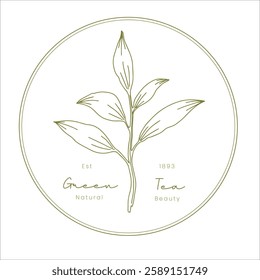 Hand-Drawn Green Tea Skincare Logo – Organic Beauty Branding