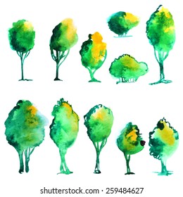 Hand-drawn green watercolor tree collection. Painted vector nature elements set