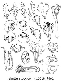 Hand-drawn greens and mushrooms set. Vector illustration.