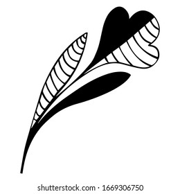 La mitad dibujada a mano en blanco y negro y flor simbólica a rayas con tallo y hojas. Tulipán abstracto decorativo. Por tatuajes, logo, diseño. Flor de flores. Vector.