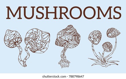 Hand-drawn hallucinogenic mushrooms