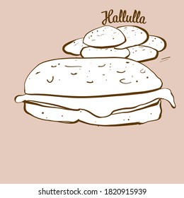 Hand-drawn Hallulla bread illustration. Flatbread, usually known in Chile. Vector drawing series.