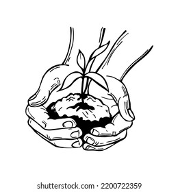 Hand-drawn hands with a young plant. Vector sketch  illustration.