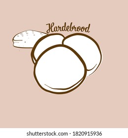 Hand-drawn Hardebrood bread illustration. Flatbread, usually known in Netherland . Vector drawing series.