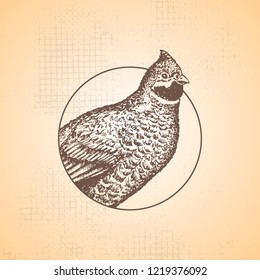 Hand-drawn hazel grouse sign in a round frame. Engraving style. The idea of the stamp. Isolated on background. Vector.